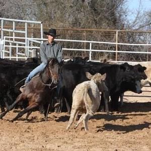 Meet your Posher, Seth